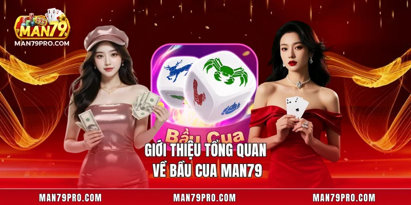 Giới thiệu tổng quan về bầu cua MAN79