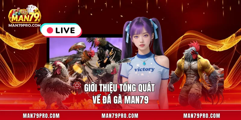 Giới thiệu tổng quát về đá gà MAN79